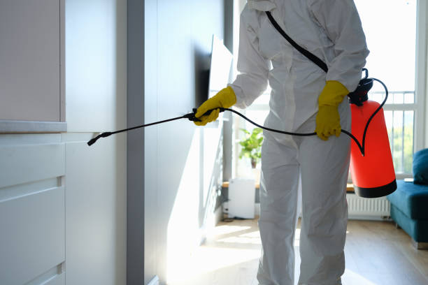 Best Mold Damage Repair  in Fort Sumner, NM